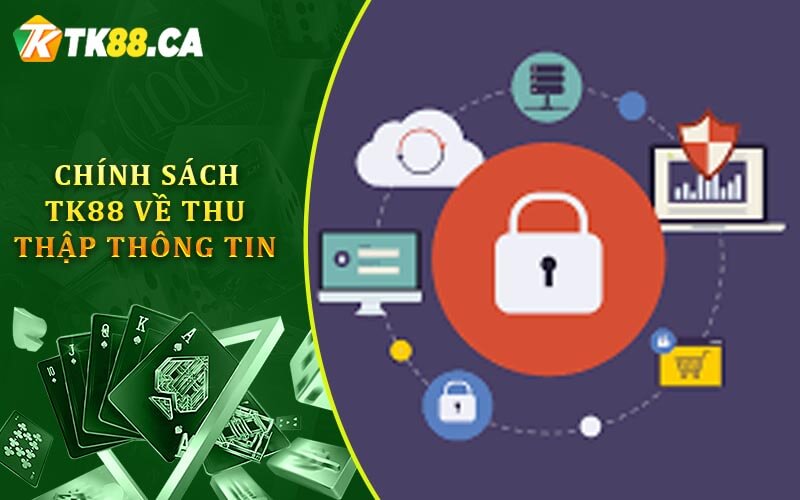 Chính sách TK88 về thu thập thông tin Chính sách TK88 về thu thập thông tin