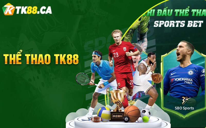 TK88 thể thao rất được ưa chuộng bởi các cược thủ