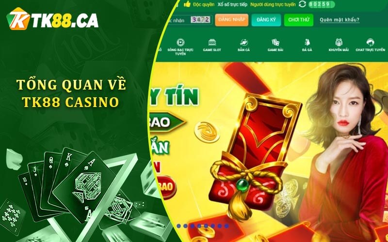 Tổng quan về TK88 Casino Tổng quan về TK88 Casino