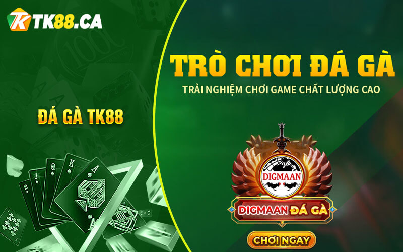 Đá gà trực tiếp
