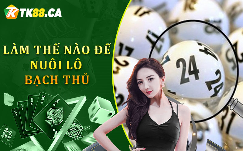 Làm thế nào để nuôi lô bạch thủ khung 2, 3, 5 ngày mà không thua? Làm thế nào để nuôi lô bạch thủ khung 2, 3, 5 ngày mà không thua?