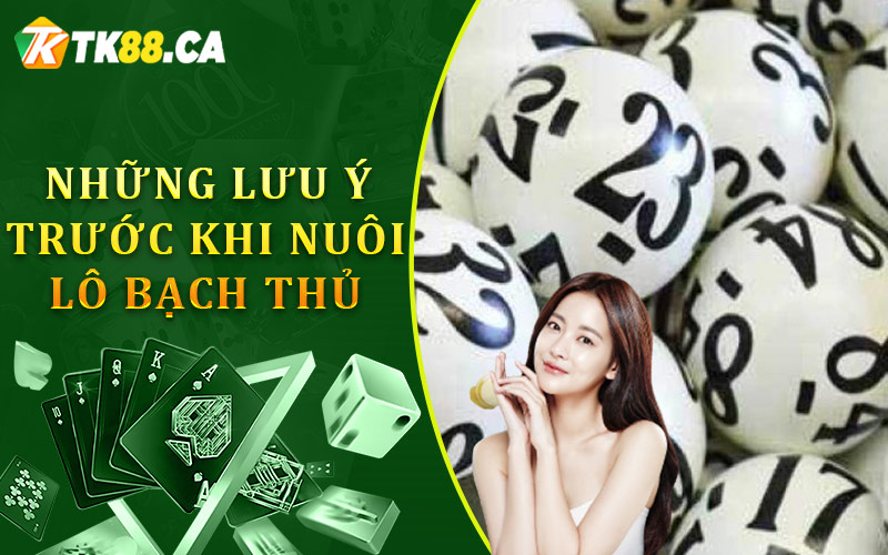 Những lưu ý trước khi nuôi lô bạch thủ 2,3,5 ngày giành chiến thắng Những lưu ý trước khi nuôi lô bạch thủ 2,3,5 ngày giành chiến thắng