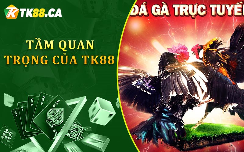 Tầm quan trọng của trực tiếp đá gà TK88