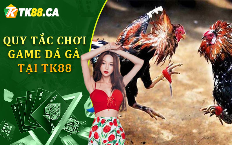 Tìm hiểu quy tắc chơi game đá gà tại TK88 Tìm hiểu quy tắc chơi game đá gà tại TK88