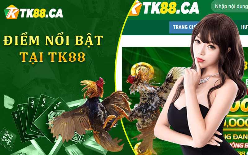 Điểm nổi bật của đá gà trực tuyến tại TK88 khiến hàng triệu người chơi mê mẩn Điểm nổi bật của đá gà trực tuyến tại TK88 khiến hàng triệu người chơi mê mẩn