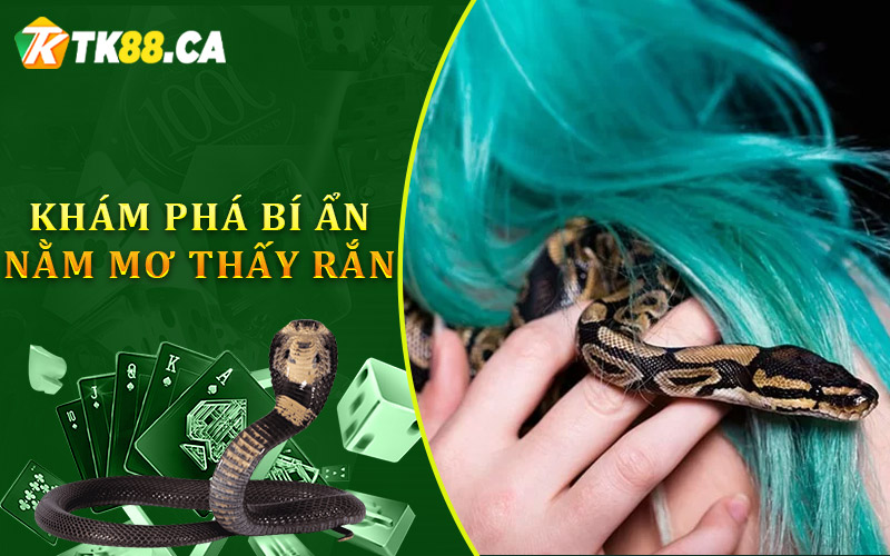 Khám phá bí ẩn nằm mơ thấy rắn Khám phá bí ẩn nằm mơ thấy rắn