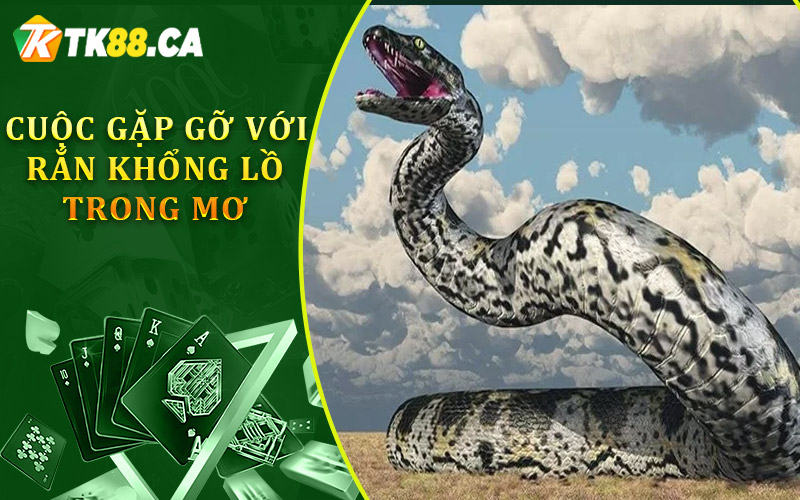 cuộc gặp gỡ với rắn khổng lồ trong mơ cuộc gặp gỡ với rắn khổng lồ trong mơ