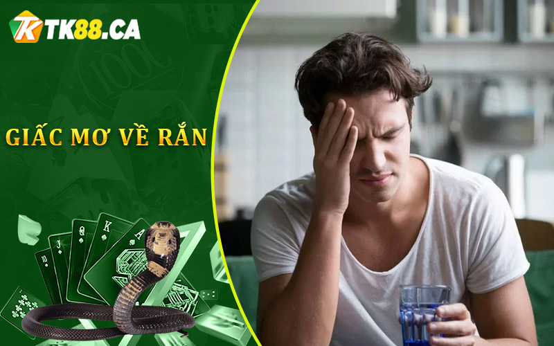 giấc mơ về rắn xuất hiện thường xuyên giấc mơ về rắn xuất hiện thường xuyên