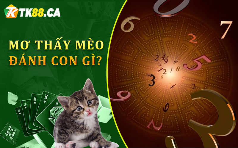 mơ thấy mèo đánh con gì để dễ dàng trúng mơ thấy mèo đánh con gì để dễ dàng trúng