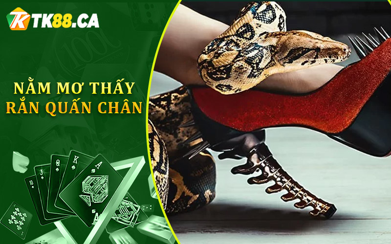 nằm mơ thấy rắn quấn chân nằm mơ thấy rắn quấn chân