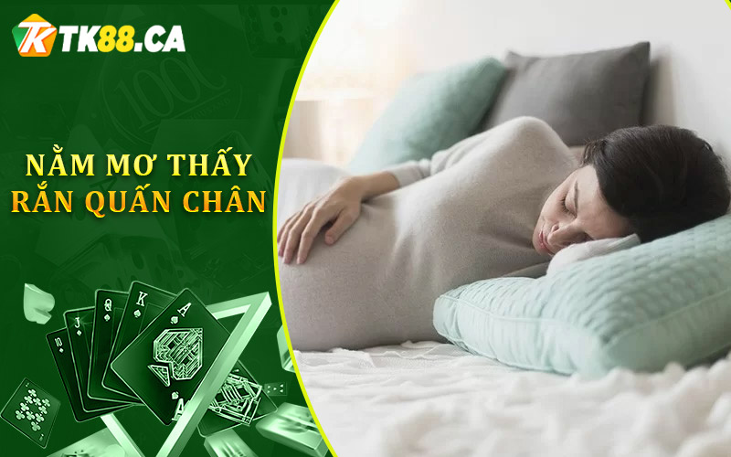 người mang thai nằm mơ thấy rắn người mang thai nằm mơ thấy rắn