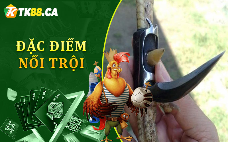 Đặc điểm nổi trội của hình thức chơi đá gà cựa sắt Đặc điểm nổi trội của hình thức chơi đá gà cựa sắt