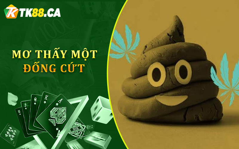 Khi bạn mơ thấy một đống phân, cứt lớn Khi bạn mơ thấy một đống phân, cứt lớn