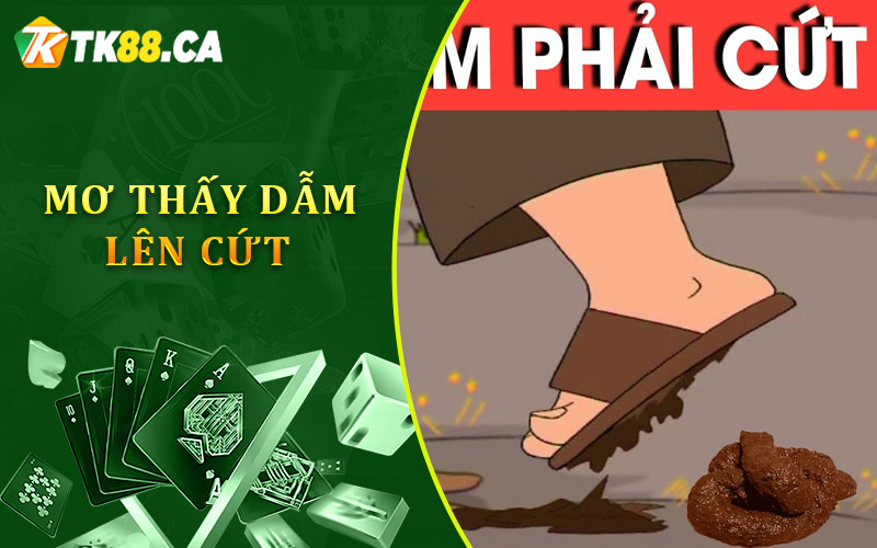 Khi bạn mơ về việc dẫm lên phân, cứt Khi bạn mơ về việc dẫm lên phân, cứt