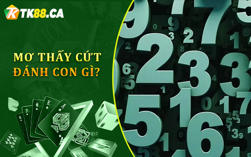 Mơ thấy cứt đánh con gì? Mơ thấy cứt đánh con gì?