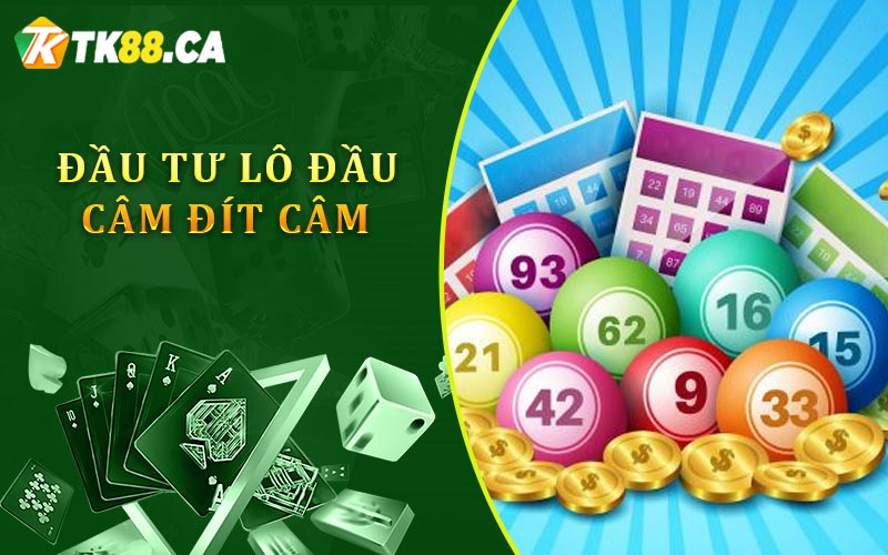 Đầu tư lô đầu câm đít câm Đầu tư lô đầu câm đít câm