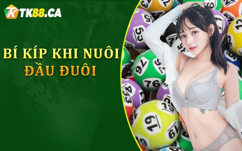Bí kíp khi nuôi đầu đuôi Bí kíp khi nuôi đầu đuôi