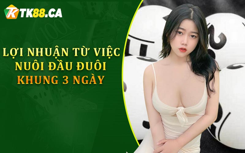 Lợi nhuận từ việc nuôi đầu đuôi khung 3 ngày Lợi nhuận từ việc nuôi đầu đuôi khung 3 ngày