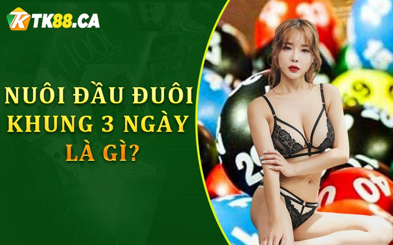 Nuôi đầu đuôi khung 3 ngày là gì? Nuôi đầu đuôi khung 3 ngày là gì?